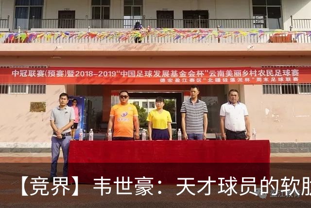 【竞界】韦世豪：天才球员的软肋 洪七公效应的外溢